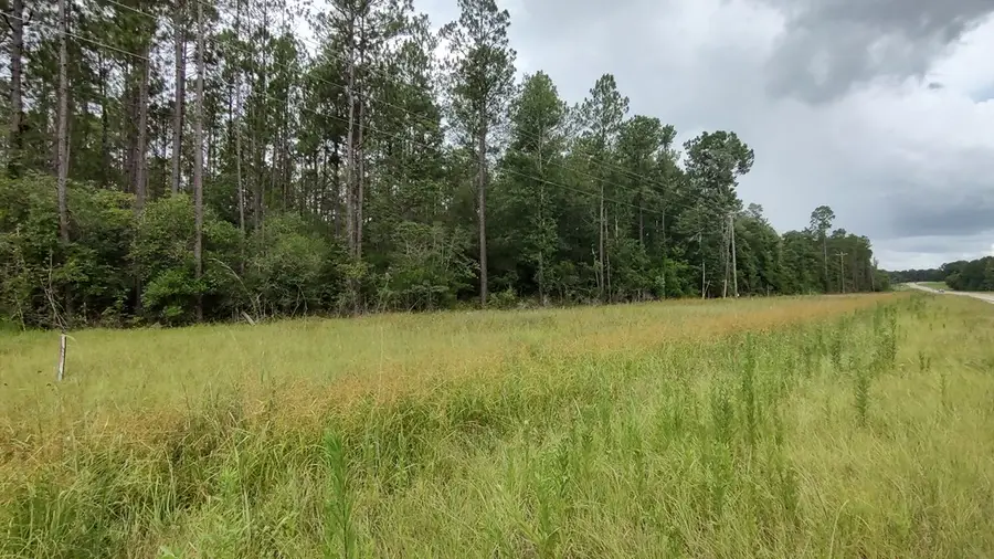 NHN Hwy 43 N, Picayune, MS 39466 - Image #2