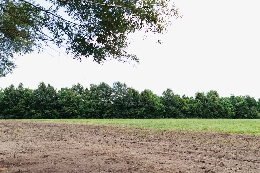 Lot 8 Cooper, Picayune, MS 39466 - Image #3