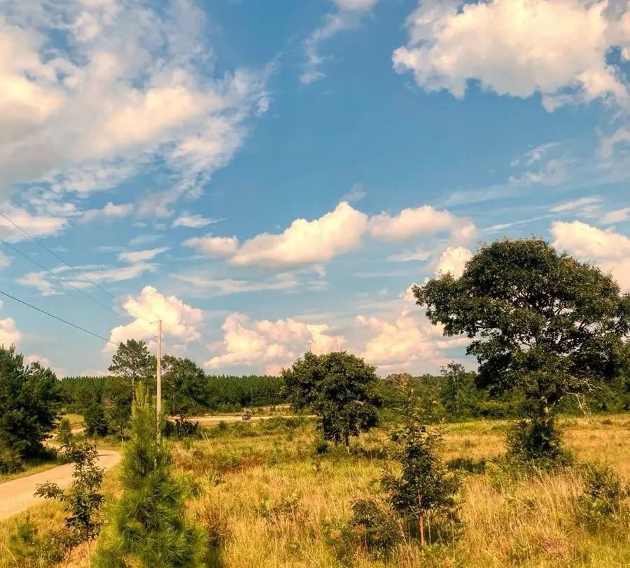 250b redfish rd, Poplarville, MS 39470 - Image #3