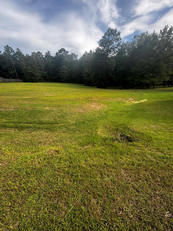 NHN CHINABERRY CIRCLE, Carriere, MS 39426