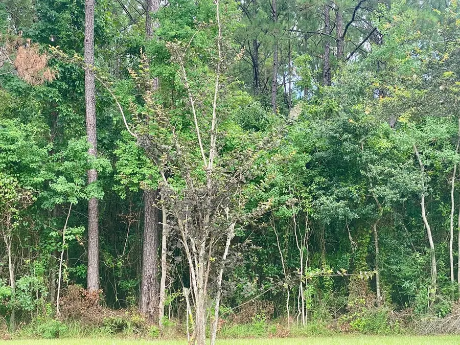 3185 Jackson Landing Road, Picayune, MS 39466 - Image #2