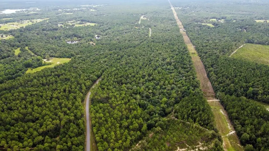 00 Silver Run-Progress Rd, Perkinston, MS 39573 - Image #1