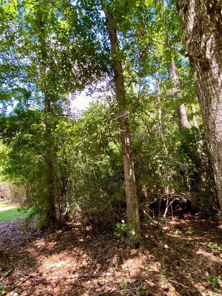 00 Will Thompson Road, Picayune, MS 39466 - Image #3