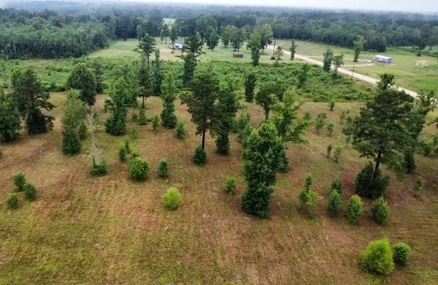 0 Moses Cove, Picayune, MS 39466 - Image #1