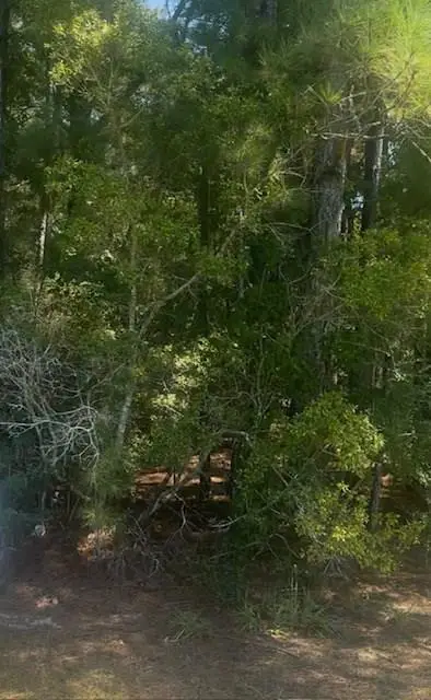 NHN Mint Julep Airpark, Perkinston, MS 39573 - Image #1