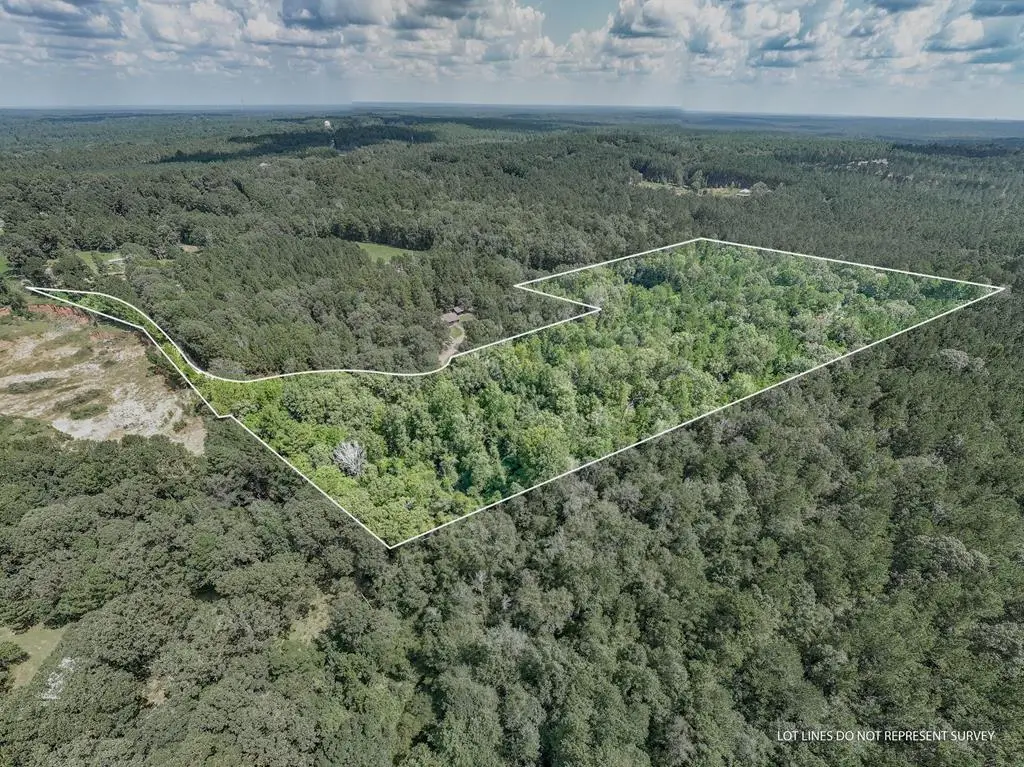 NHN Larry Goff Rd, Hattiesburg, MS 39401 - Image #1