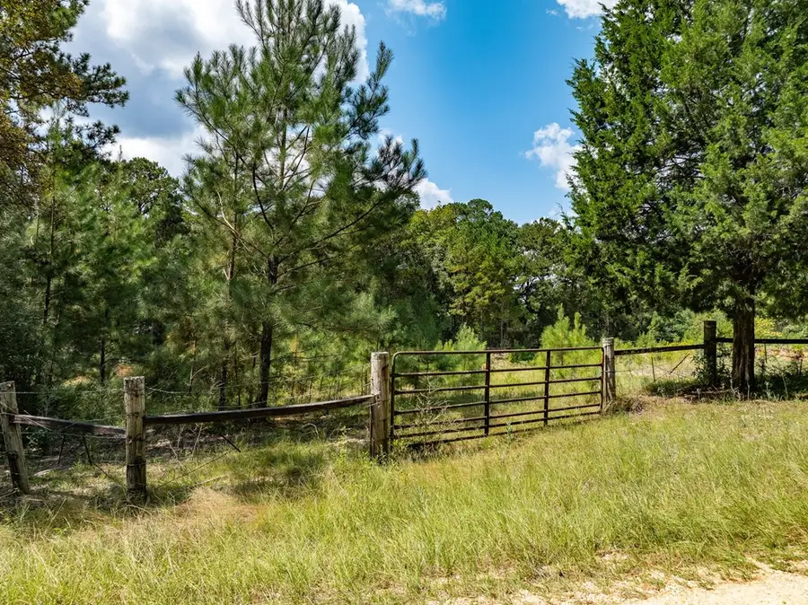 NHN Larry Goff Rd, Hattiesburg, MS 39401 - Image #3