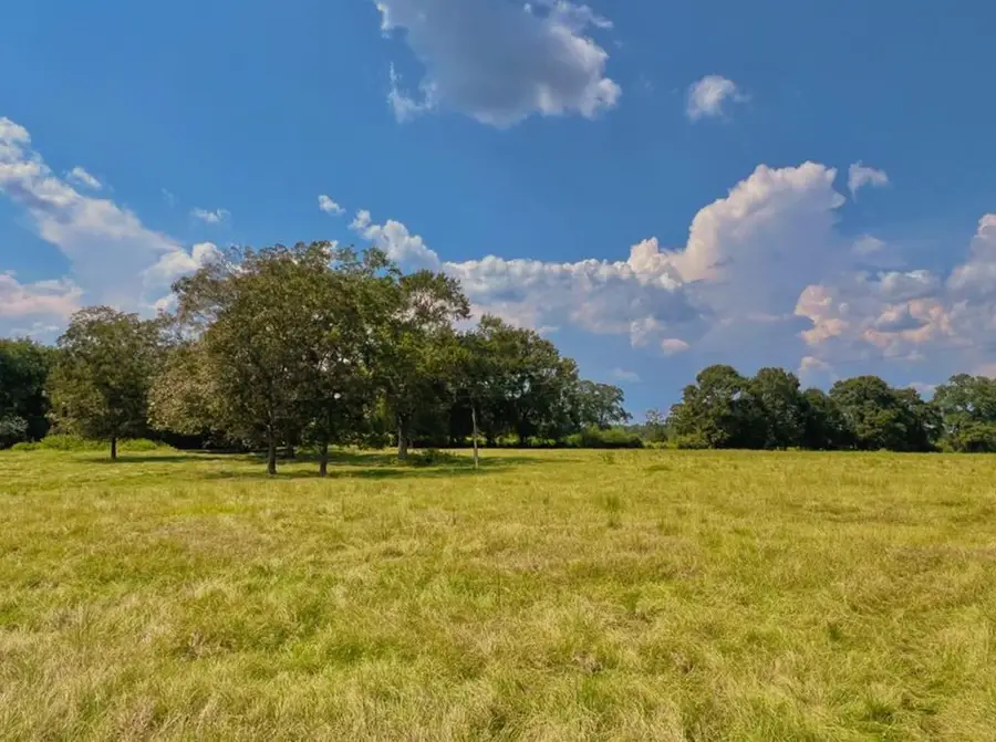 NHN Thomas School Road, Lumberton, MS 39455 - #3