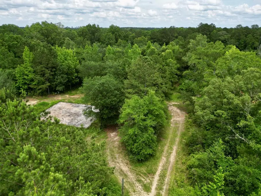 8 Acres Hwy 43 N, Poplarville, MS 39470 - Image #3