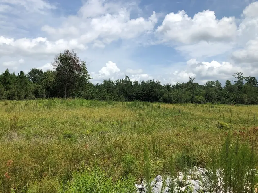 NHN Highway 11 North, Picayune, MS 39466 - Image #2