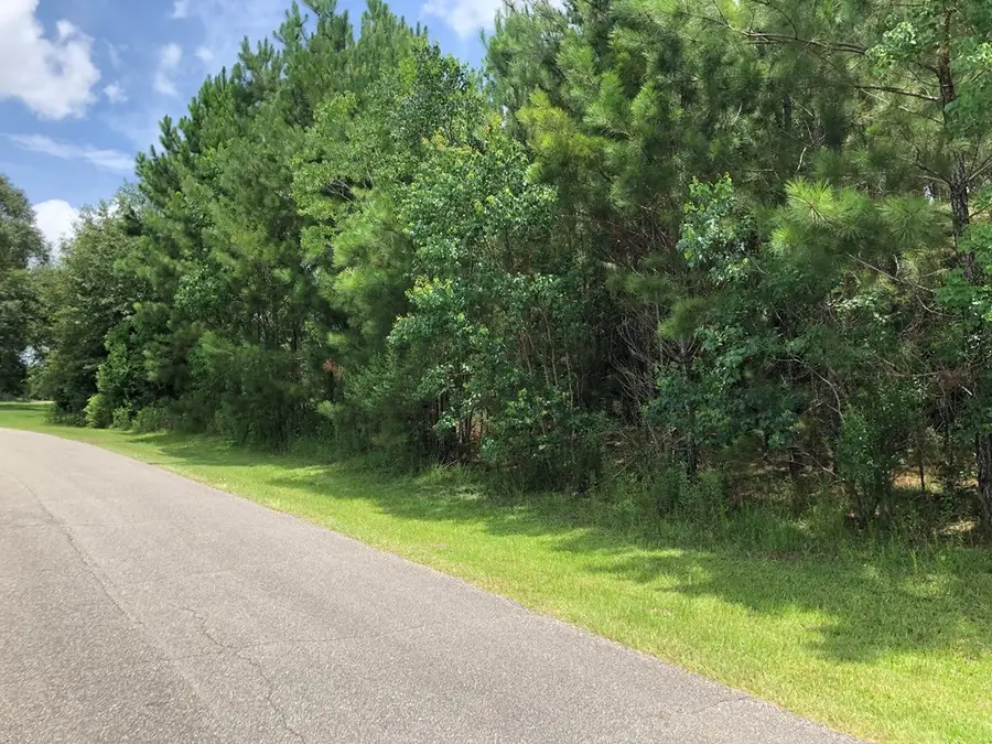 NHN Golf Course Drive, Picayune, MS 39466 - Image #2