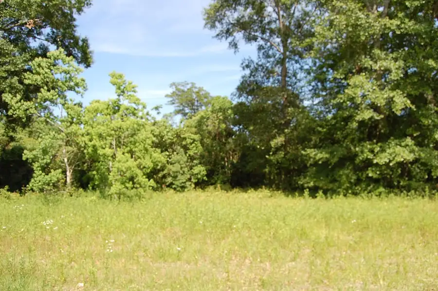 NHN Wildwood Street Parcel C, Picayune, MS 39466 - Image #3