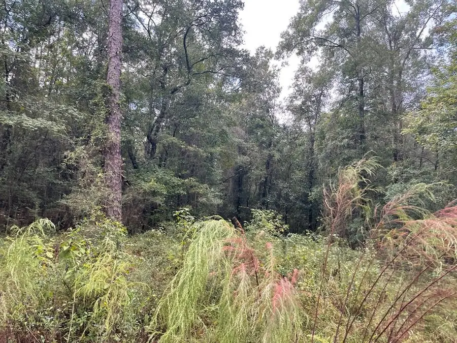 1472 E &F N Caesar Oaks Dr, Carriere, MS 39426 - Image #3