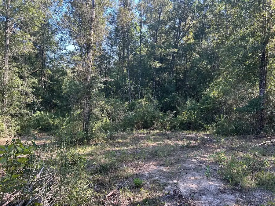 12395 Preacher Powell Road, Carriere, MS 39426 - Image #2