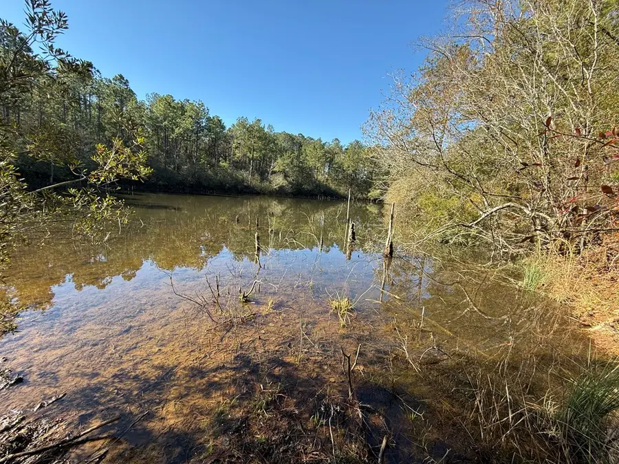 00 Hwy 53, Poplarville, MS 39470 - Image #2