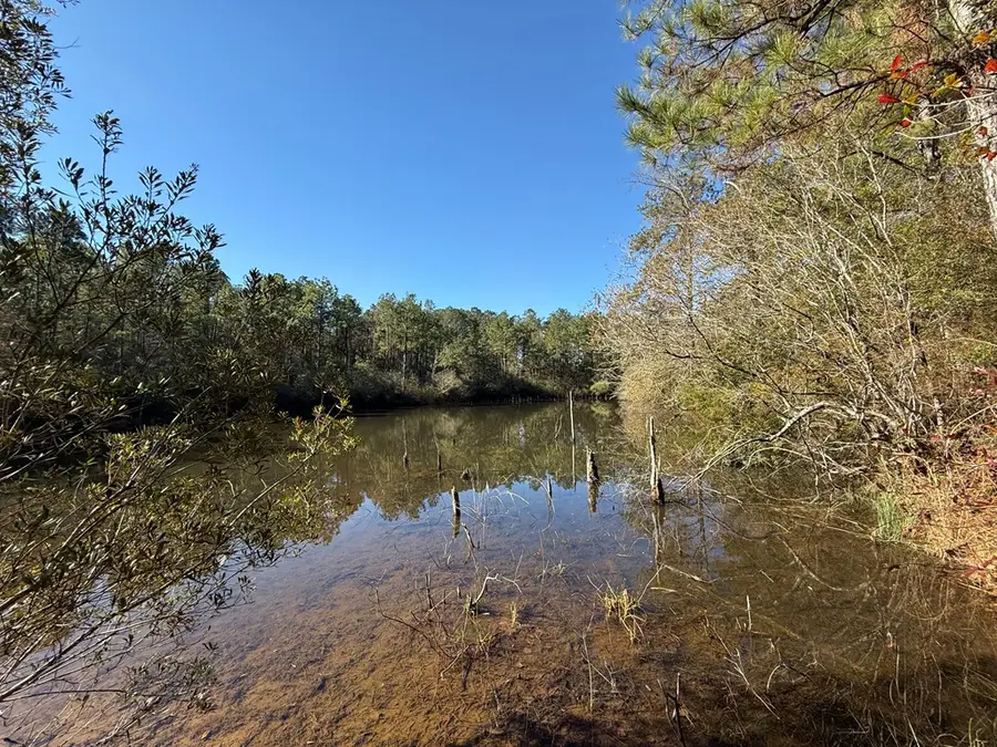 00 Hwy 53, Poplarville, MS 39470 - Image #3