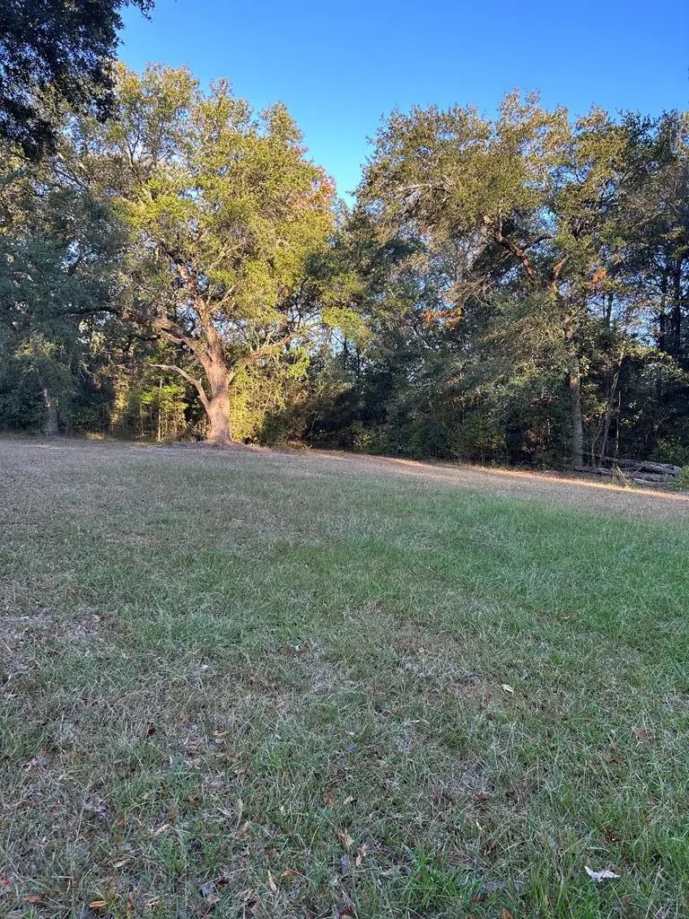 00 Hammock Road, Carriere, MS 39426 - Image #2