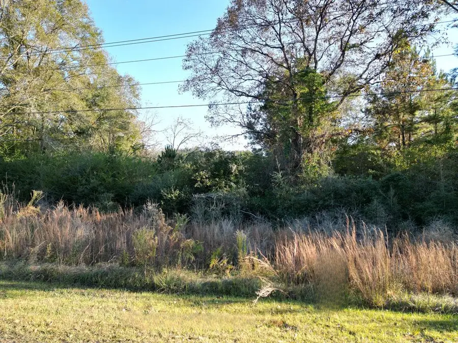 NHN Otho Seals Rd, Lumberton, MS 39455 - Image #2