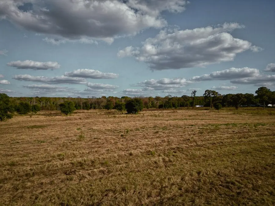 25+/- AC Spruce Street, Poplarville, MS 39470 - Image #3