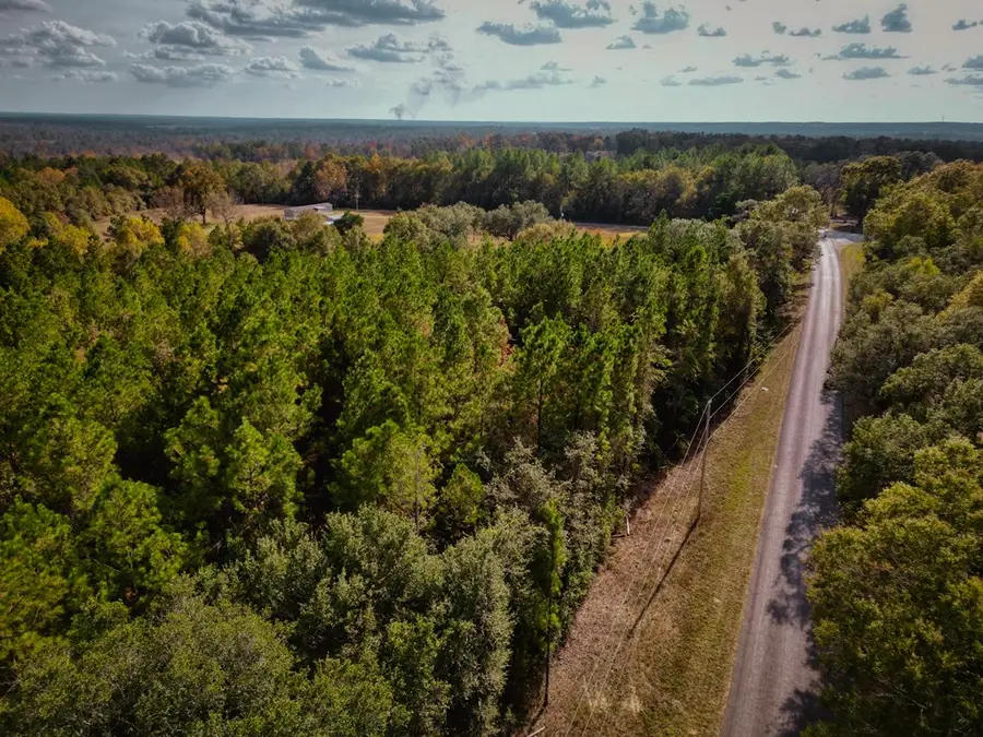 7.32 Ac Oscar Lee Road, Poplarville, MS 39470 - Image #2