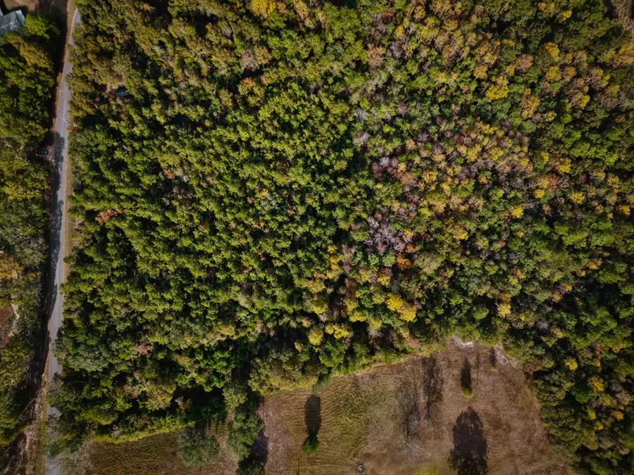 7.32 Ac Oscar Lee Road, Poplarville, MS 39470 - Image #3