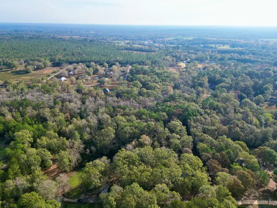 00 Lowe St, Poplarville, MS 39470 - Image #3