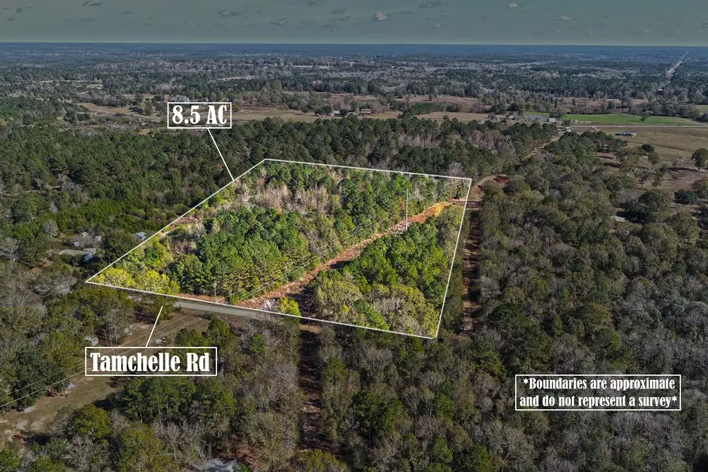 NHN Tamchelle Road, Lumberton, MS 39470 - #1