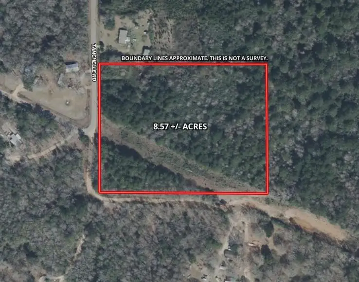 NHN Tamchelle Road, Lumberton, MS 39470 - #2