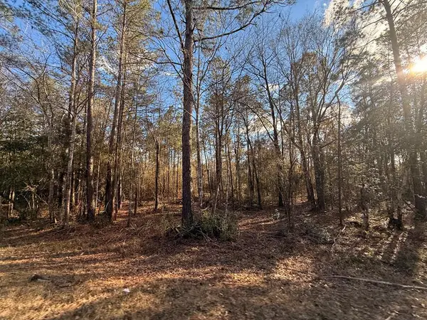 1090 West Union Rd (Parcel A), Carriere, MS 39426