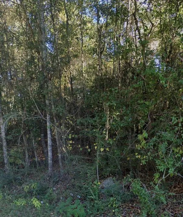 0 Lakeside Cove Lot 142 Unit 2, Carriere, MS 39426