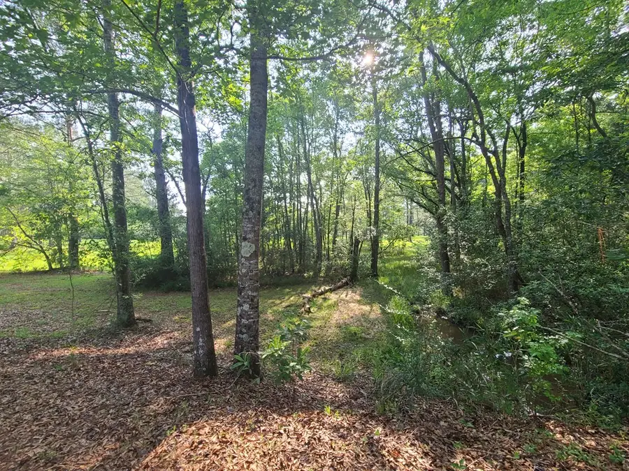 000 Thompson Lane, Carriere, MS 39426 - Image #3