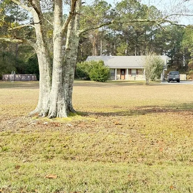57 Alan Road, Carriere, MS 39426 - #1