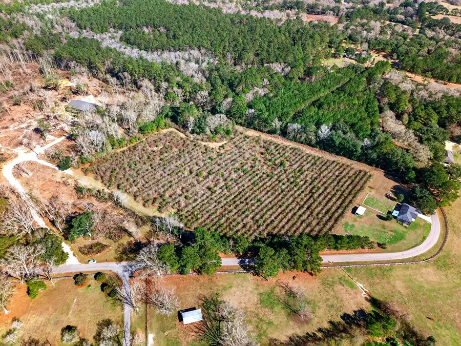 0 H Burge Rd, Poplarville, MS 39470 - Image #2