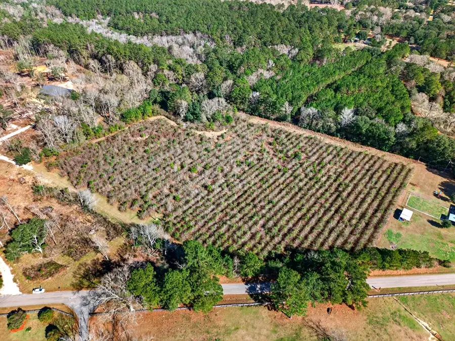 0 H Burge Rd, Poplarville, MS 39470 - Image #3