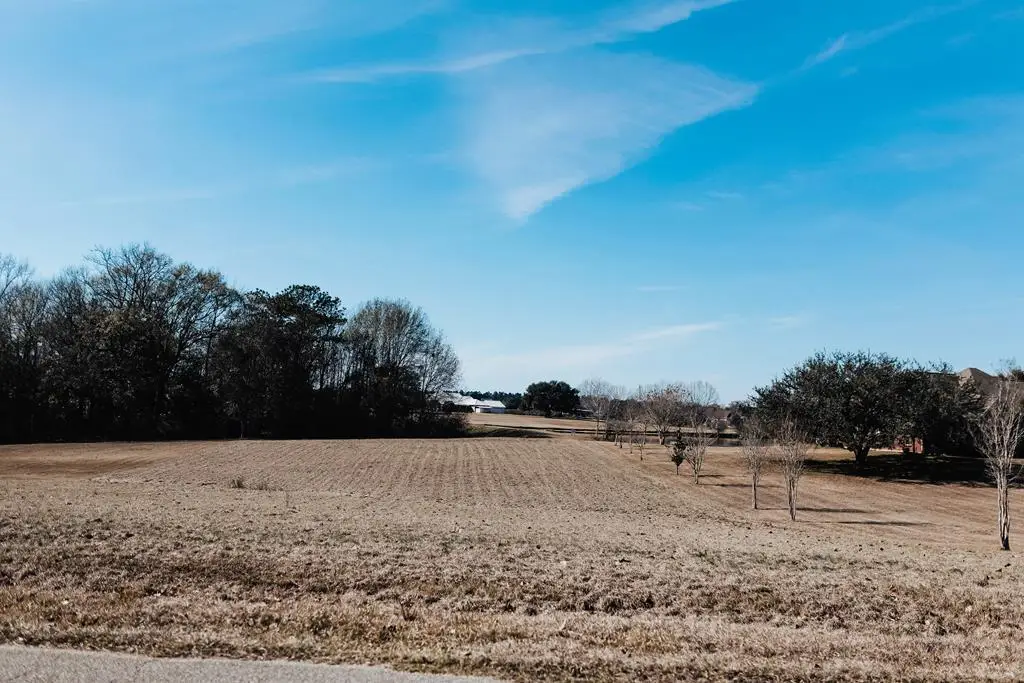 109 Shore Crest Cir, Carriere, MS 39426 - Image #1