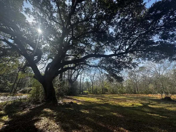 123 Luther Davis, Picayune, MS 39466