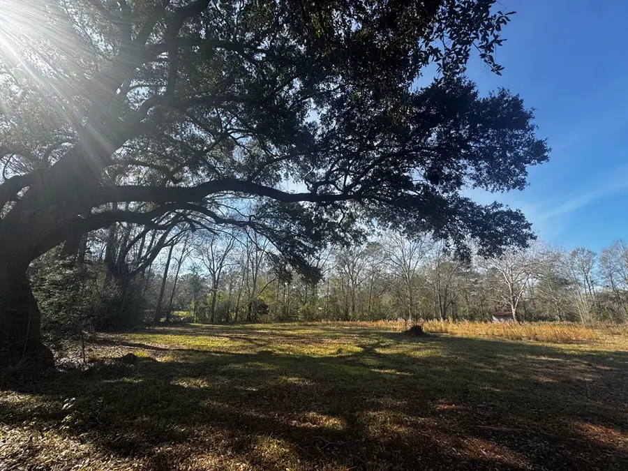 123 Luther Davis, Picayune, MS 39466 - Image #3