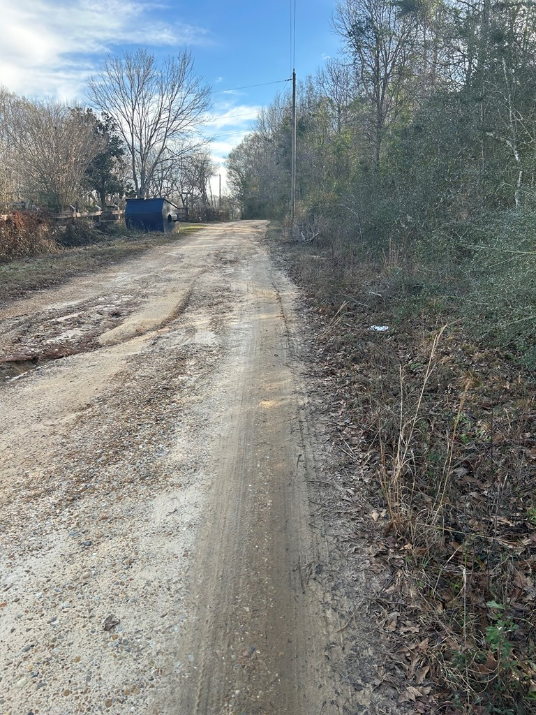 NHN Pin Oak Dr, Poplarville, MS 39470 - Image #3