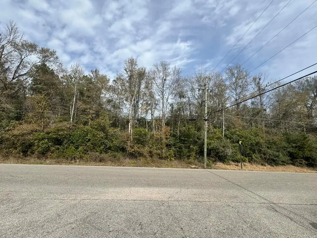 0 NHN THIRD AVE., Picayune, MS 39466 - Image #1