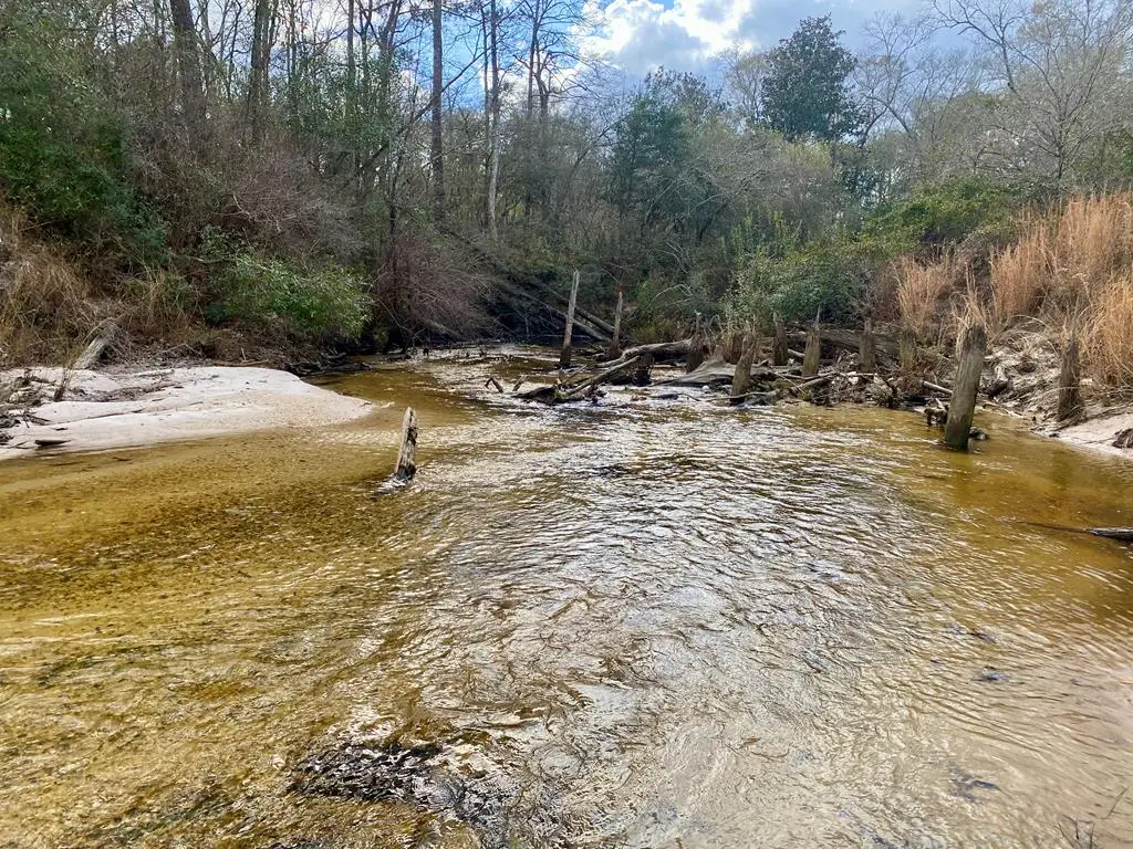 00 Benville Road, Picayune, MS 39466 - Image #1