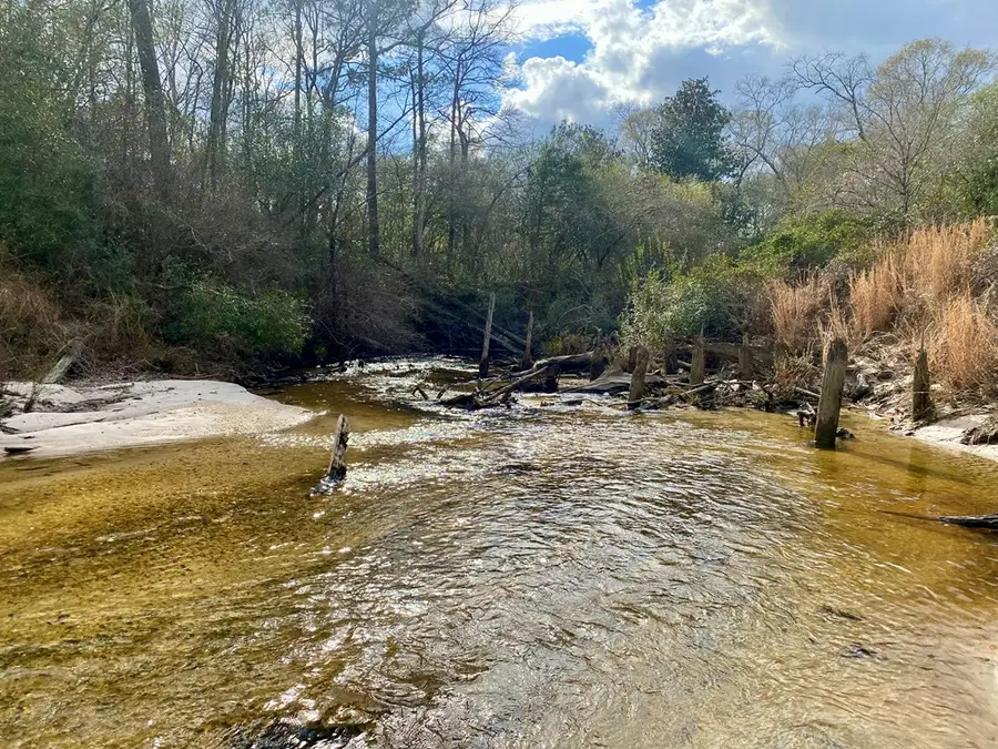 00 Benville Road, Picayune, MS 39466 - Image #3