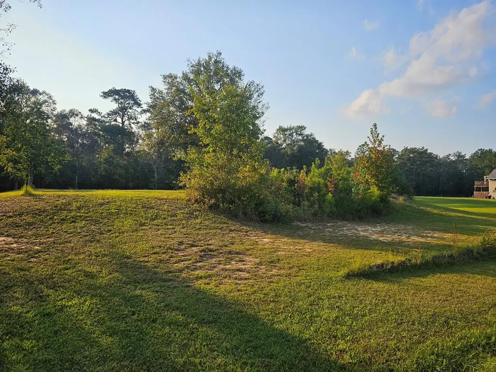Lot 6 Ravenwood Dr, Picayune, MS 39466 - Image #1
