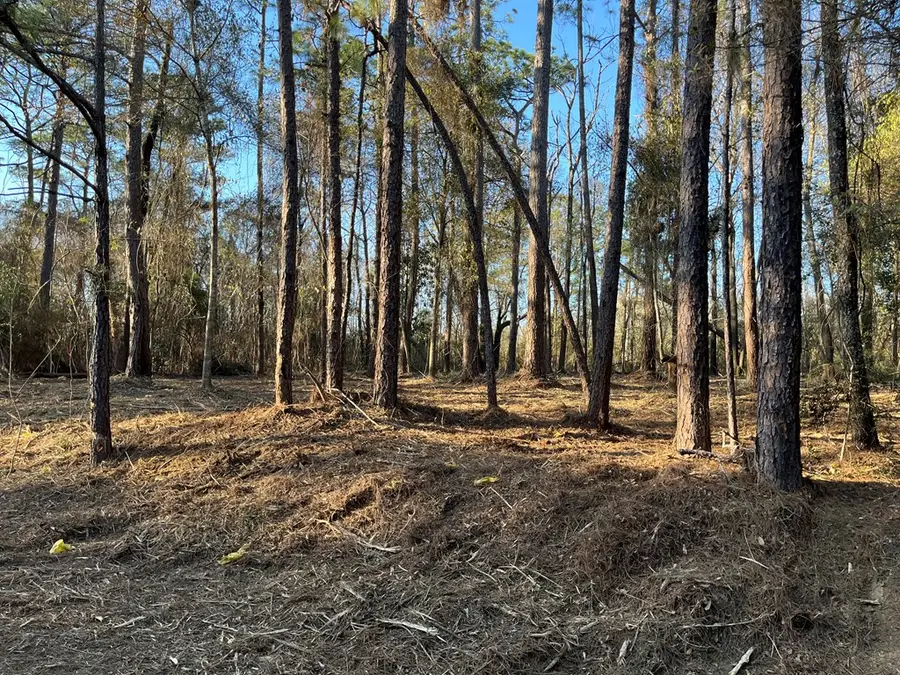 NHN East Sunnybrook, Carriere, MS 39426 - #2