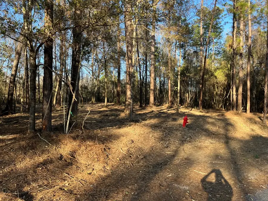 NHN East Sunnybrook, Carriere, MS 39426 - #3