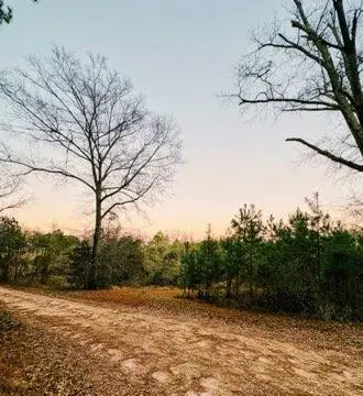 0 Darron Hodge Lane, Poplarville, MS 39470