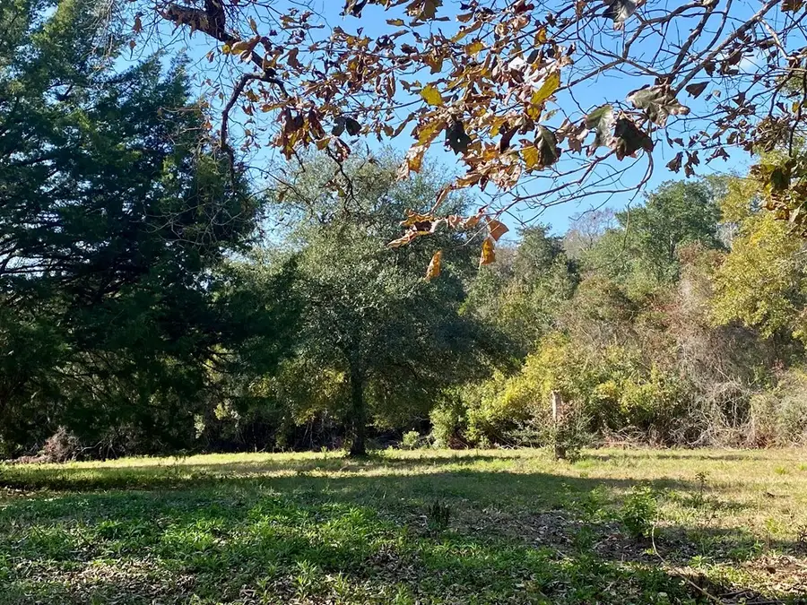 137 Old Creek RD, Picayune, MS 39466 - Image #3