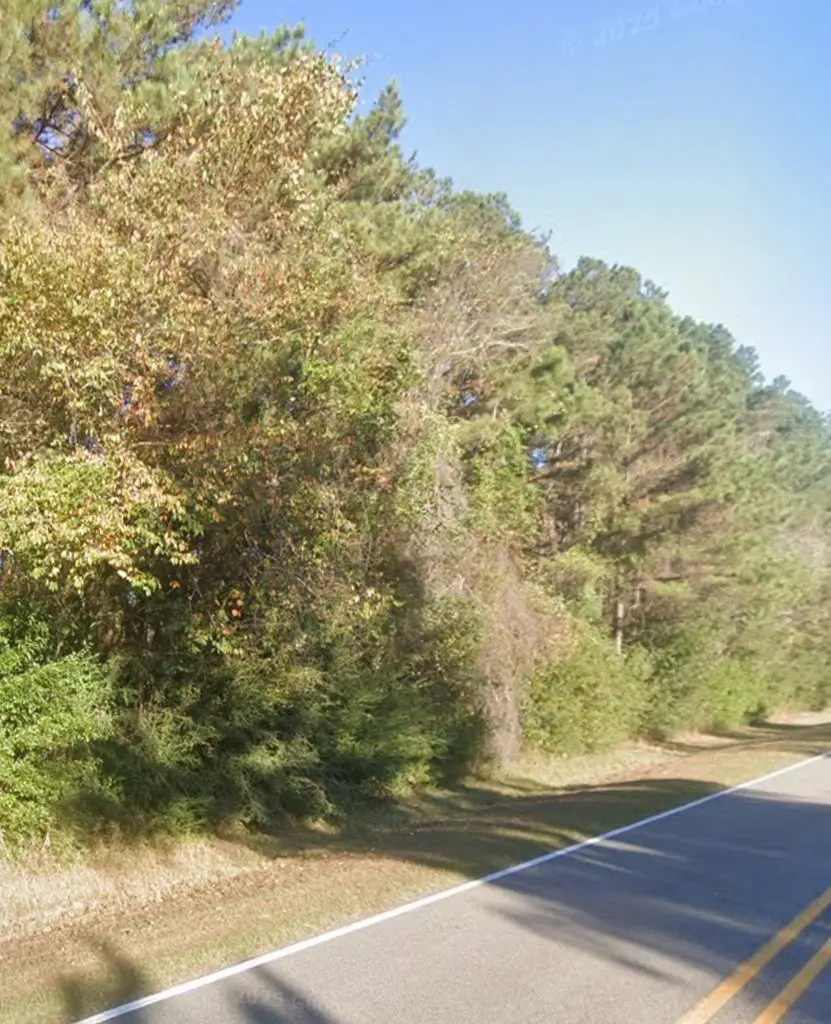 Lot 2 Anchor Lake Rd, Carriere, MS 39426 - Image #3