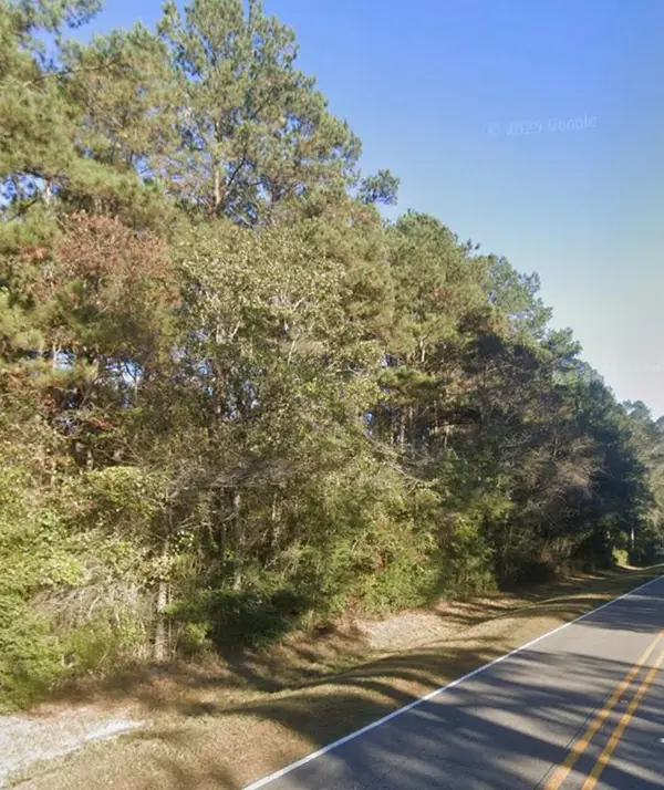 Lot 4 Anchor Lake Rd, Carriere, MS 39426