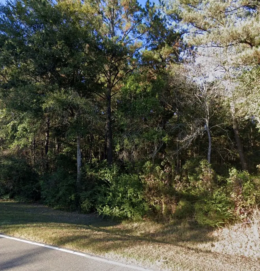 Lot 4 Anchor Lake Rd, Carriere, MS 39426 - Image #2