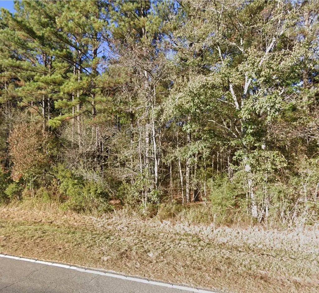 Lot 10 Anchor Lake Rd, Carriere, MS 39426 - Image #1